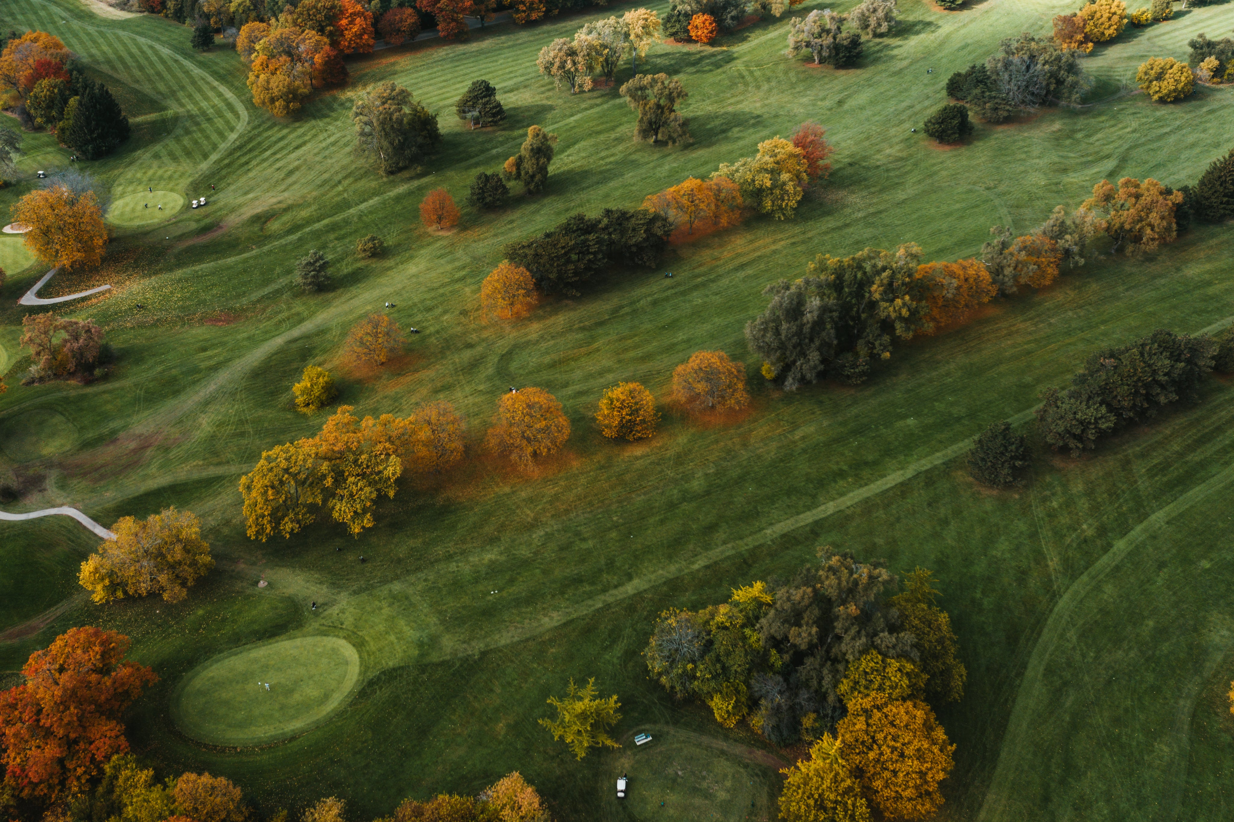 Luftaufnahme eines Golfplatzes im Herbst mit bunten Bäumen und gepflegtem Fairway