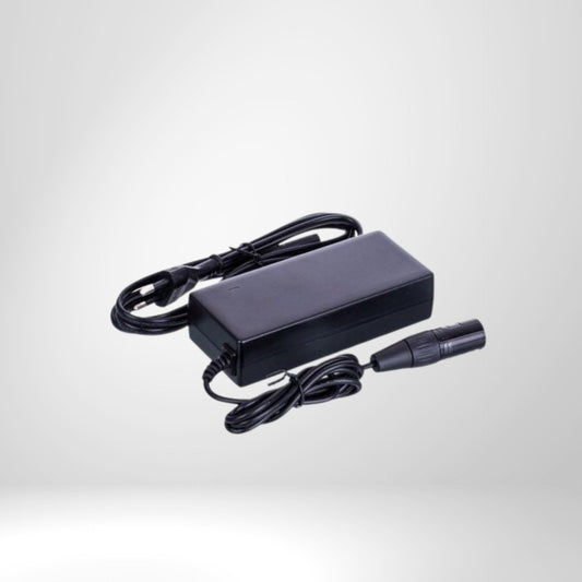 Schwarzes 24V Ladegerät für Golf E-Trolley mit Netzkabel auf weißem Hintergrund