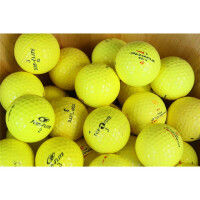 Gelbe Trainingsbälle Lakeballs Mixed - AAA